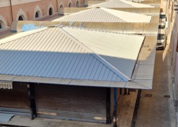 Nuove Coperture Settore Ittico Manifattura2