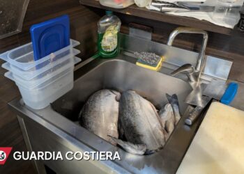 Ristorante Etnico 2