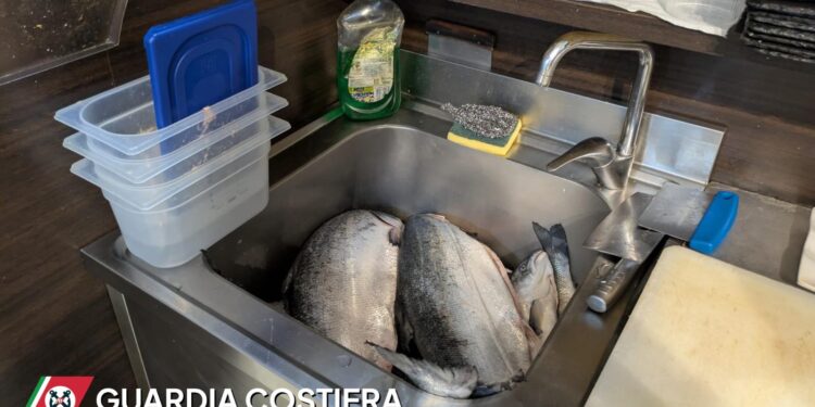 Ristorante Etnico 2