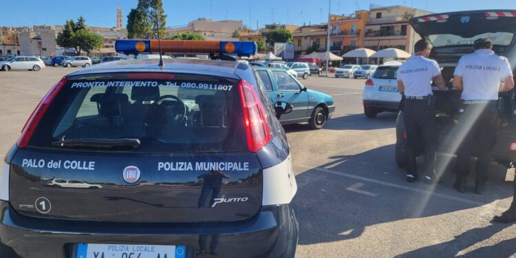 incidente palo