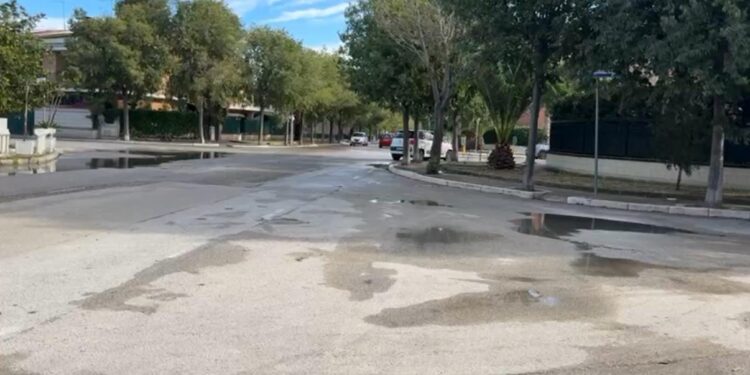 foggia rissa