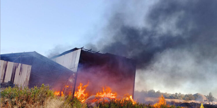 Incendio Giovinazzo