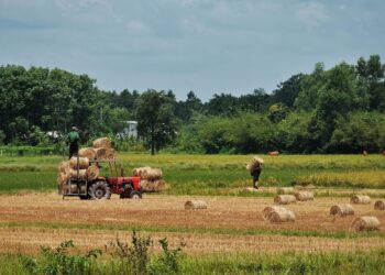 Agricoltura