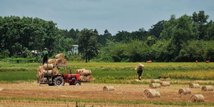Agricoltura