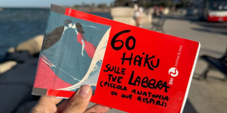 Haiku 1