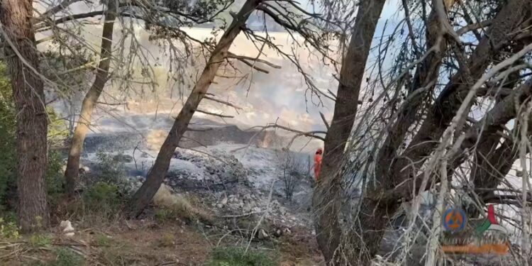 Incendio Santa Cesarea