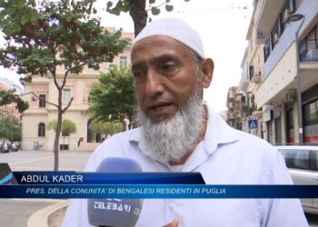 Kader