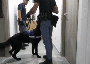 Polizia Cane