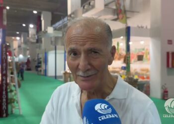 Tg Telebari Mattina 14 09 25