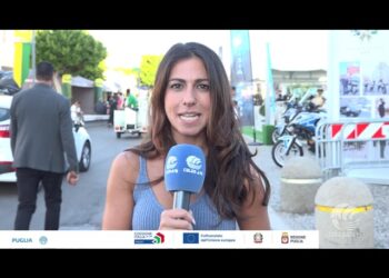 Tg Telebari Sera 16 09 25