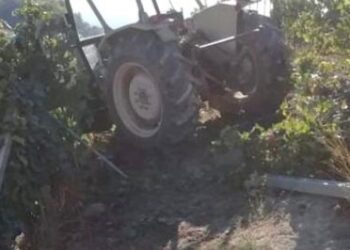 Trattore Vigna