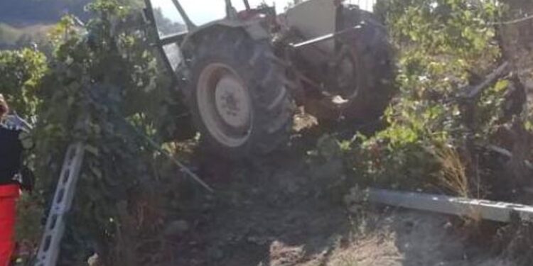 Trattore Vigna
