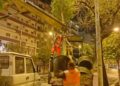22 10 25 Stanotte La Piantumazione Di 14 Alberi Di Ligustro Nel Sottopasso Duca Degli Abruzzi 3