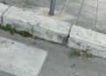 Strisce Pedonali