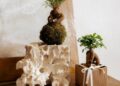 Kokedama
