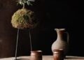 Ulivo Kokedama (2)