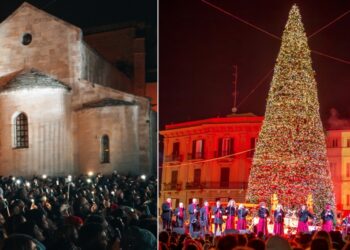 Albero Piazza Ferrarese
