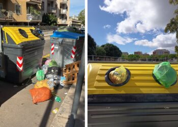 Cassonetti Pieni Plastica