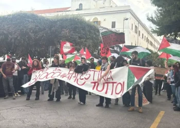Corteo Pro Pal