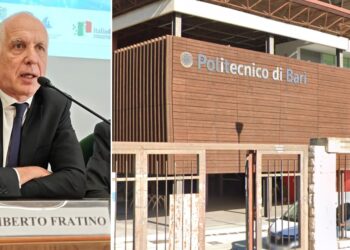 Fratino Poliba