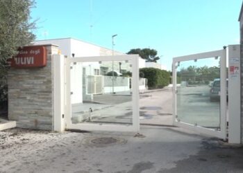 Giardino Degli Ulivi