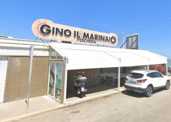 Gino Il Marinaio