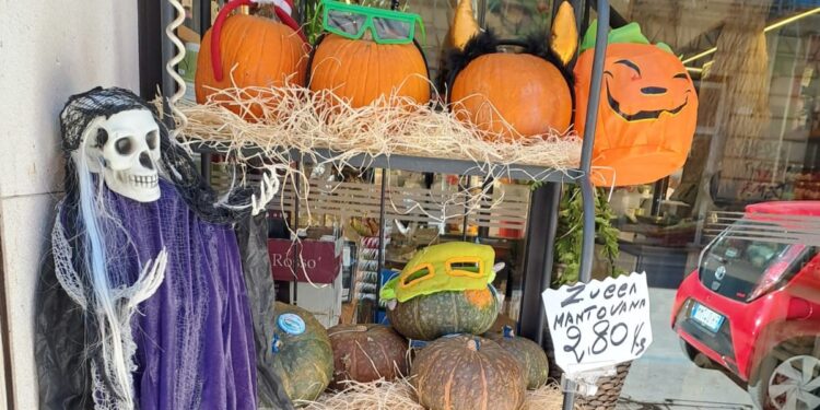 Halloween Zucca