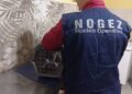 N3