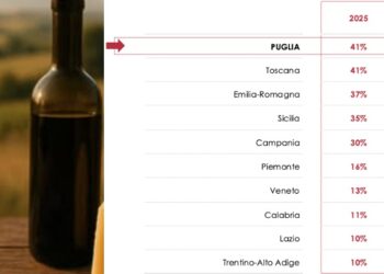 Puglia Vino