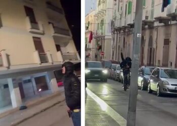 Spari Molfetta