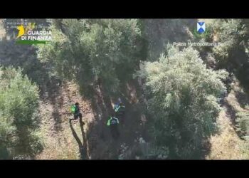 Terreni Trasformati In Discariche Di Scarti Edili, Sequestro Da 100mila Euro A Società Di Molfetta – Video
