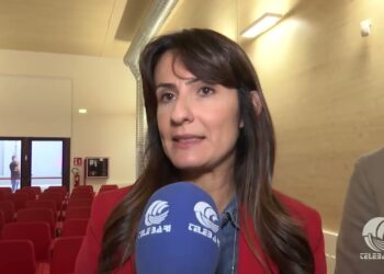 Tg Telebari Mattina 24 10 25