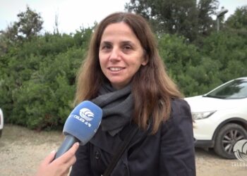 Tg Telebari Sera 18 10 25