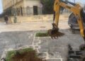 17 11 25 Manutenzione Del Verde Cittadino Questa Mattina La Piantumazione Di 2 Terebinti E 3 Arbusti Di Metrosideros In Piazza San Pietro E Di 1 Albero Di Giuda A Poggiofranco