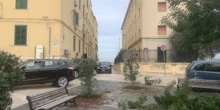 17 11 25 Manutenzione Del Verde Cittadino Questa Mattina La Piantumazione Di 2 Terebinti E 3 Arbusti Di Metrosideros In Piazza San Pietro E Di 1 Albero Di Giuda A Poggiofranco 4