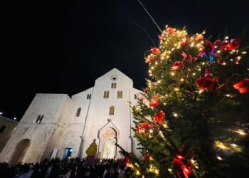 Albero