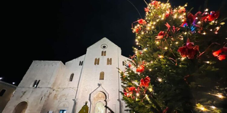 Albero
