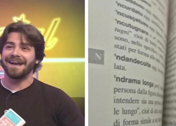 insultario pugliese