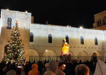 albero san nicola basilica