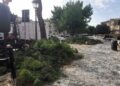 Alberi Caduti Maltempo Cimitero 3