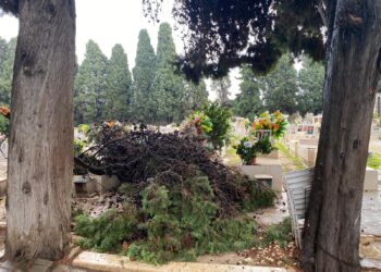 Alberi Caduti Maltempo Cimitero