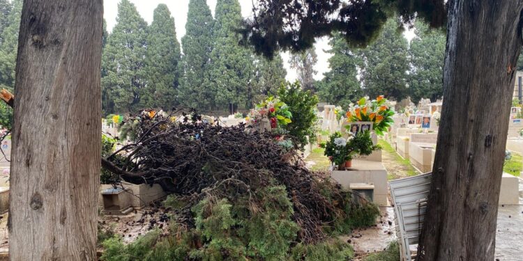 Alberi Caduti Maltempo Cimitero