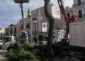 Alberi Caduti Maltempo Cimitero4