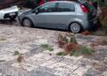 Alberi Caduti Maltempo Cimitero6