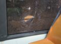 Autobus Halloween12