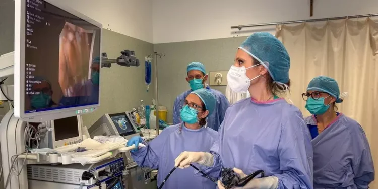 Chirurghi Gastroplastica