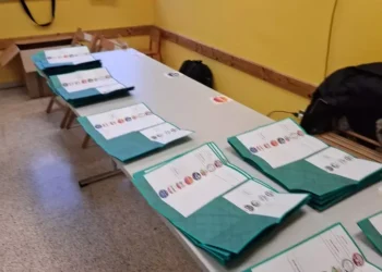 Elezioni Regionali