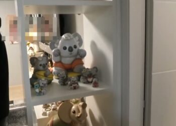 Minacce E Intimidazioni, Case Popolari Occupate Abusivamente A Putignano: Blitz Della Polizia – Video