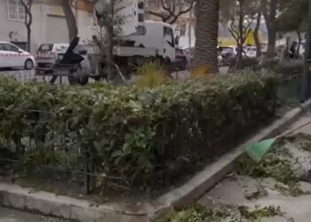 Netturbino Operatore Ecologico