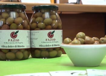 Oliva Bitetto